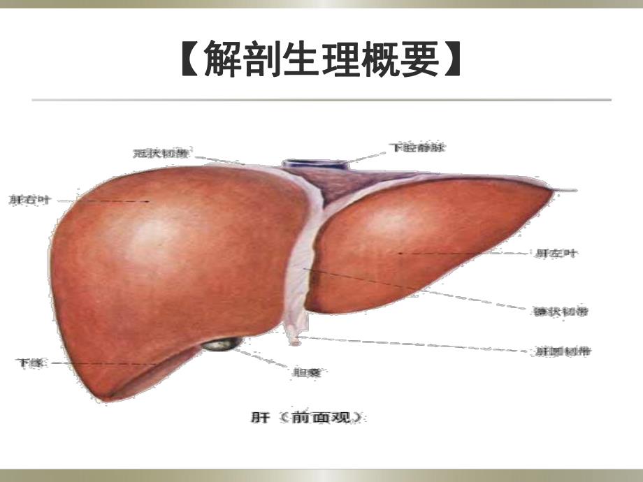 肝癌的护理医学幻灯片.ppt_第2页