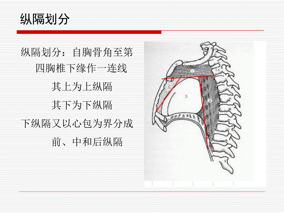 肺癌纵隔分期评估.ppt_第3页