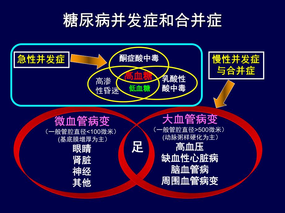 糖尿病急性并发症的抢救.ppt.ppt_第2页