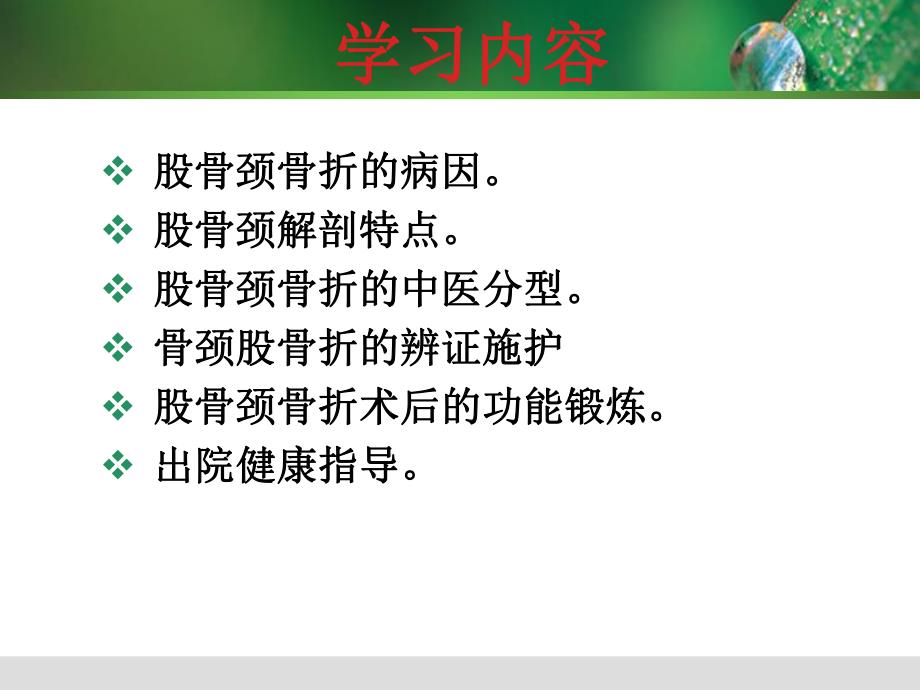 股骨颈骨折人工髋关节术后功能锻炼.ppt_第2页