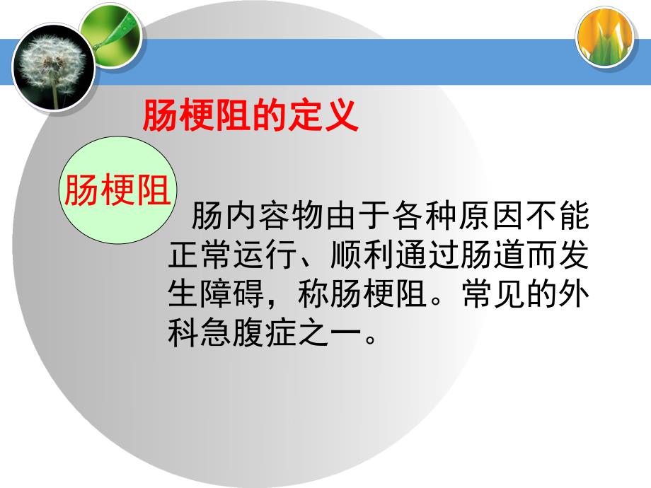 肠梗阻病人的护理.ppt_第3页