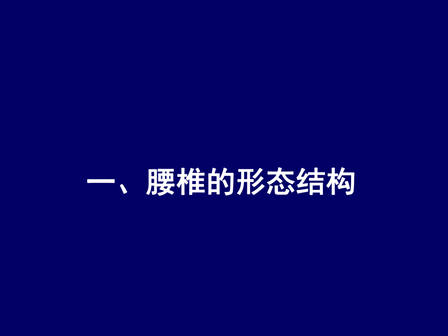 脊柱腰段解剖.ppt_第2页