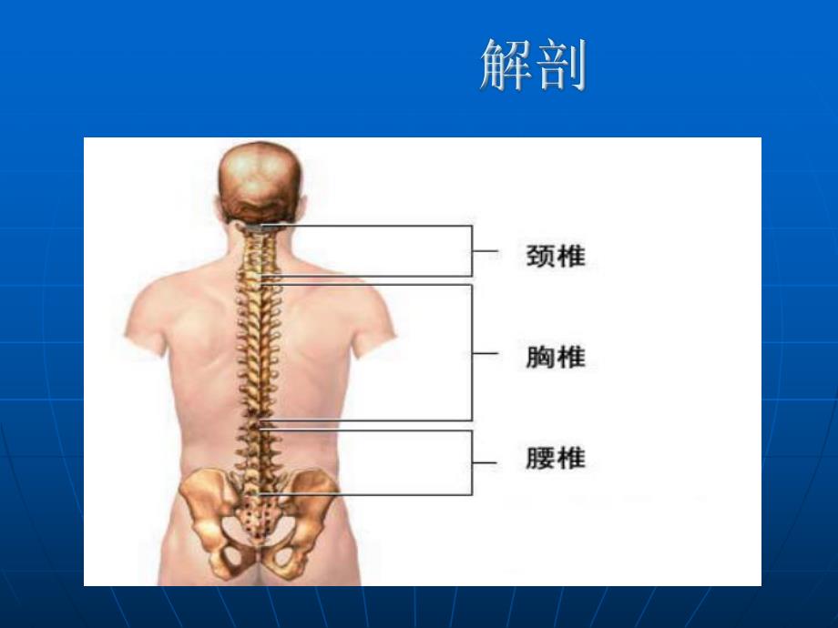 要椎间盘突出症手术治疗前后的.ppt_第2页