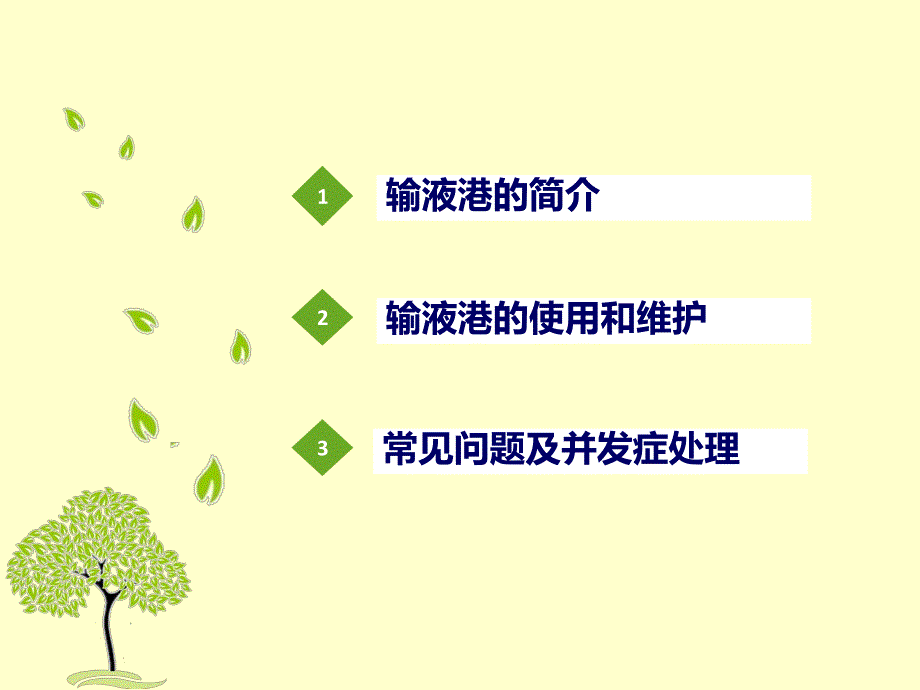 输液港的使用及管理.ppt_第2页