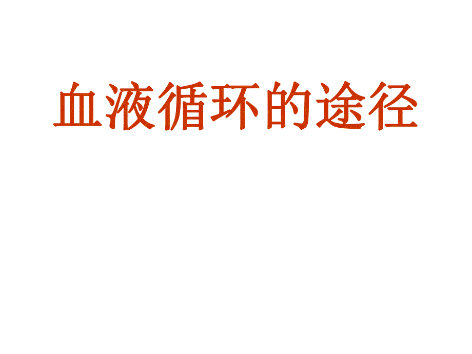 血液循环的途径.ppt_第1页