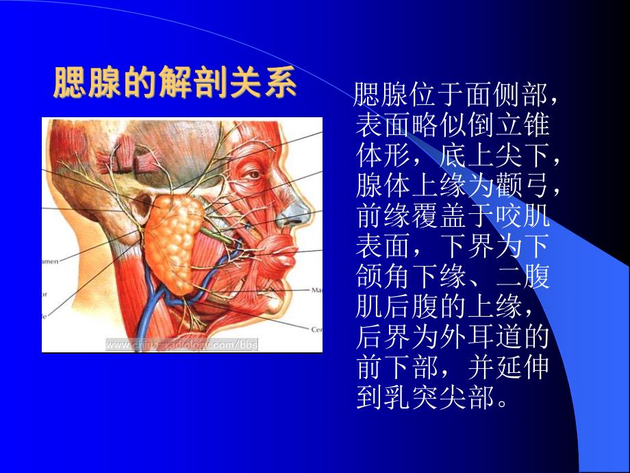 腮腺肿瘤的诊断与治疗.ppt_第2页