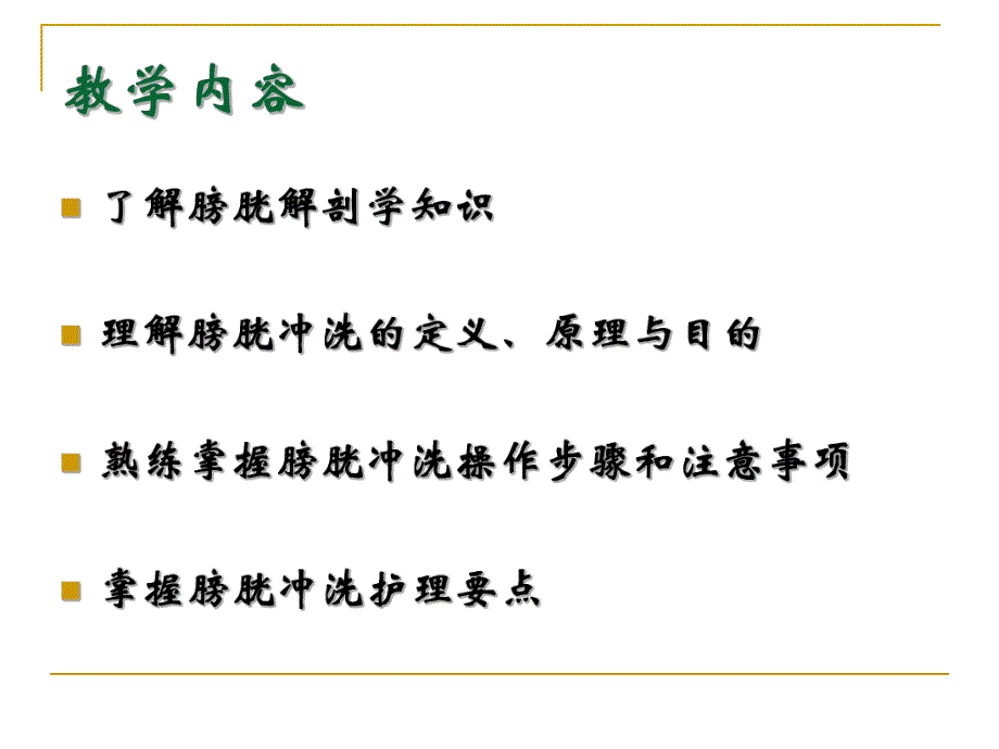 膀胱冲洗.ppt_第2页