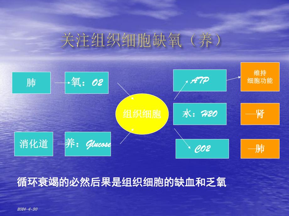 血流动力学监测.ppt_第3页