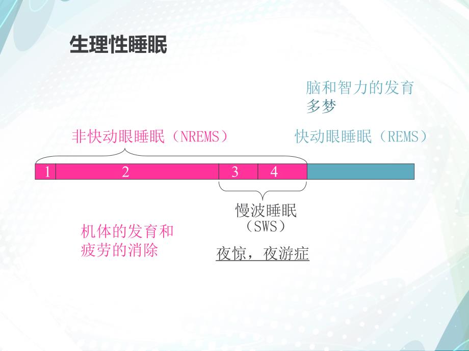 药理学第十五章镇静催眠药专题讲座.ppt_第3页