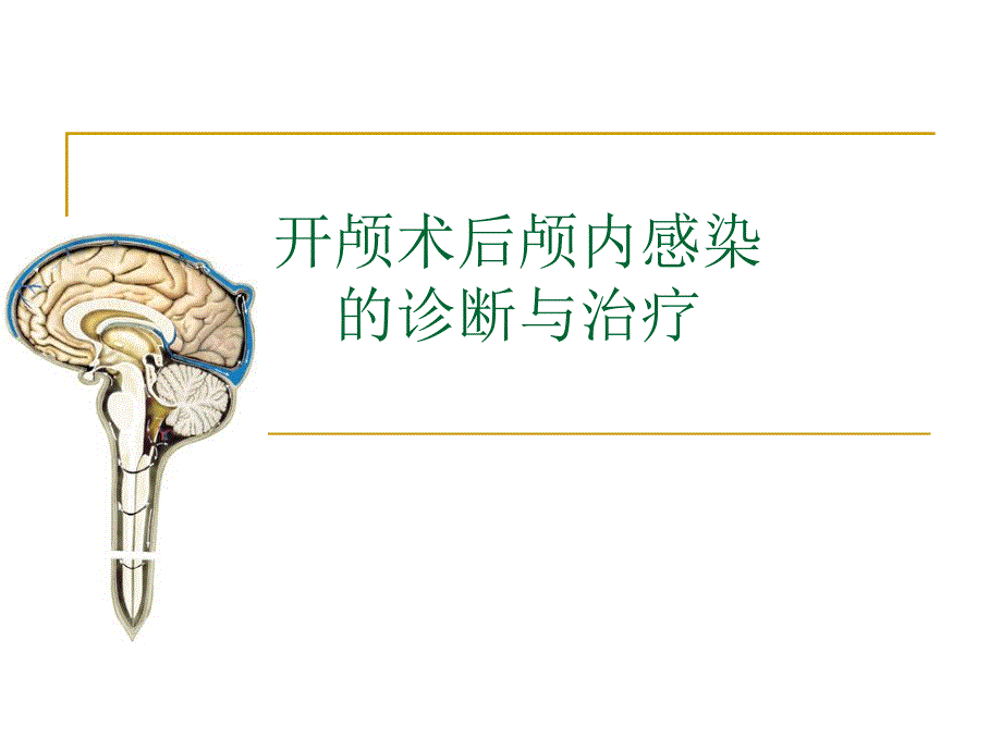 颅内感染.ppt_第1页