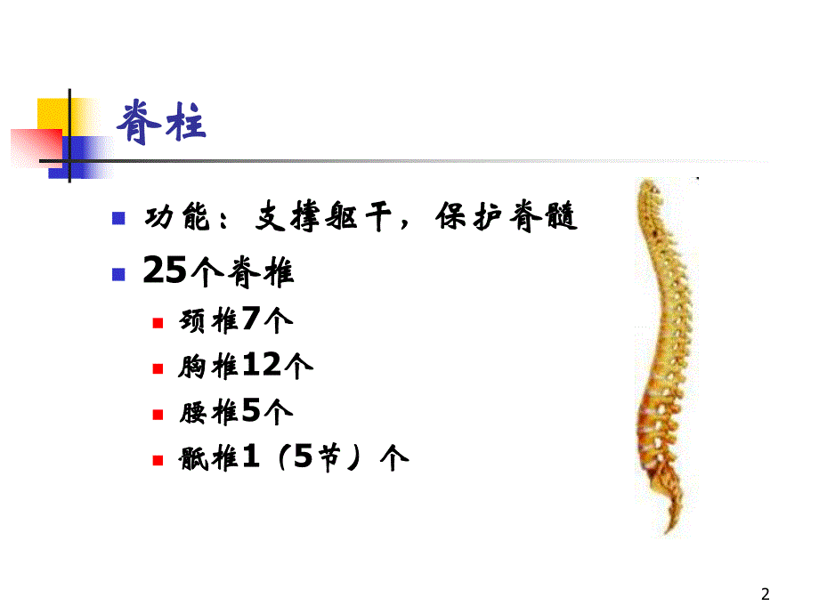 脊髓损伤评定.ppt_第2页