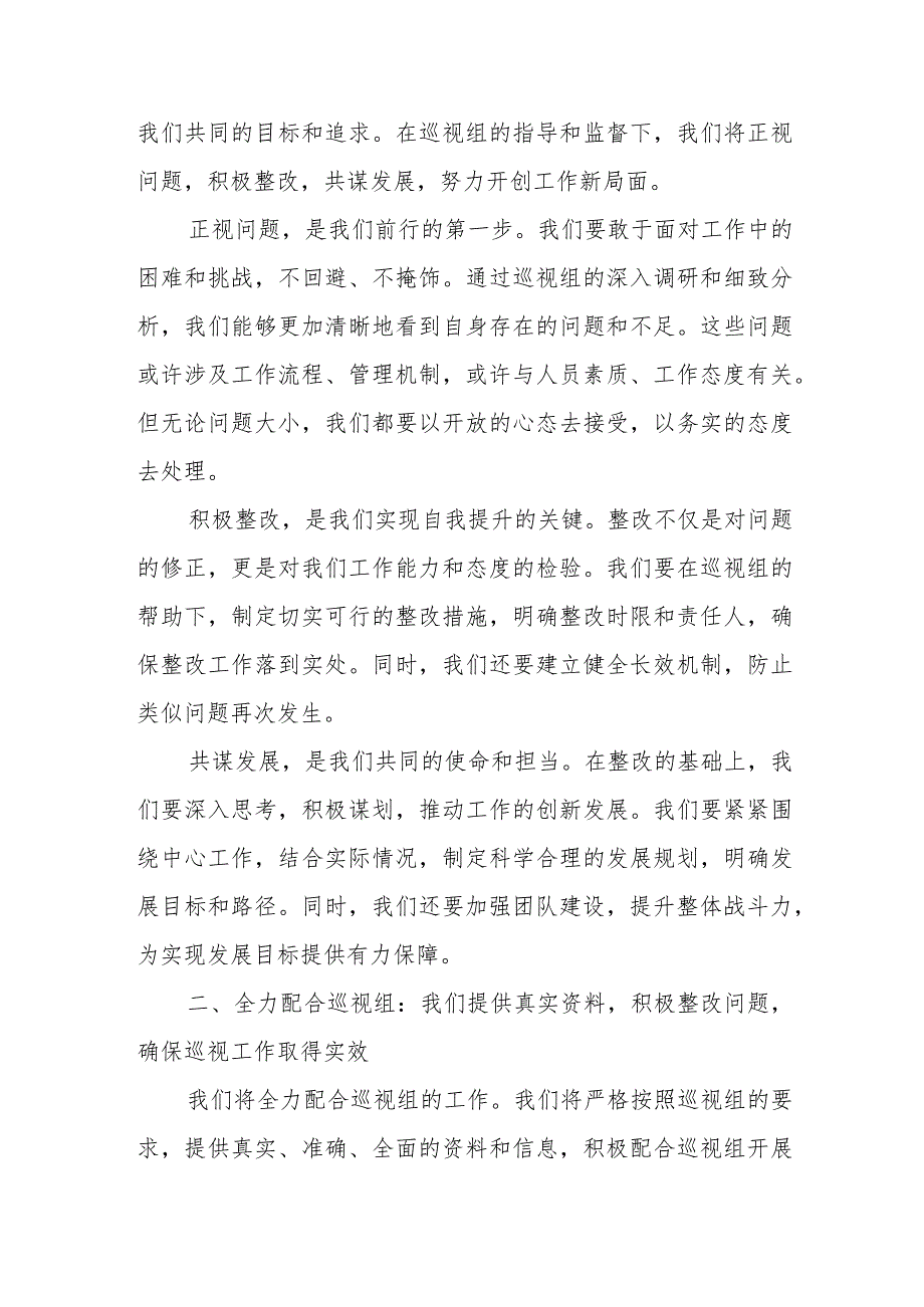 某市政府办公室在市委巡视组巡察进驻会上的表态发言.docx_第3页