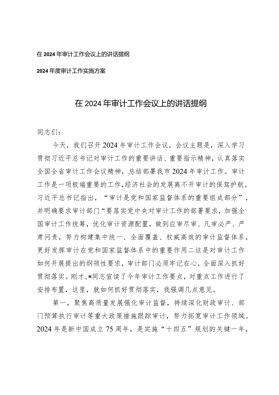 （2篇）在2024年审计工作会议上的讲话提纲2024年度审计工作实施方案.docx_第1页