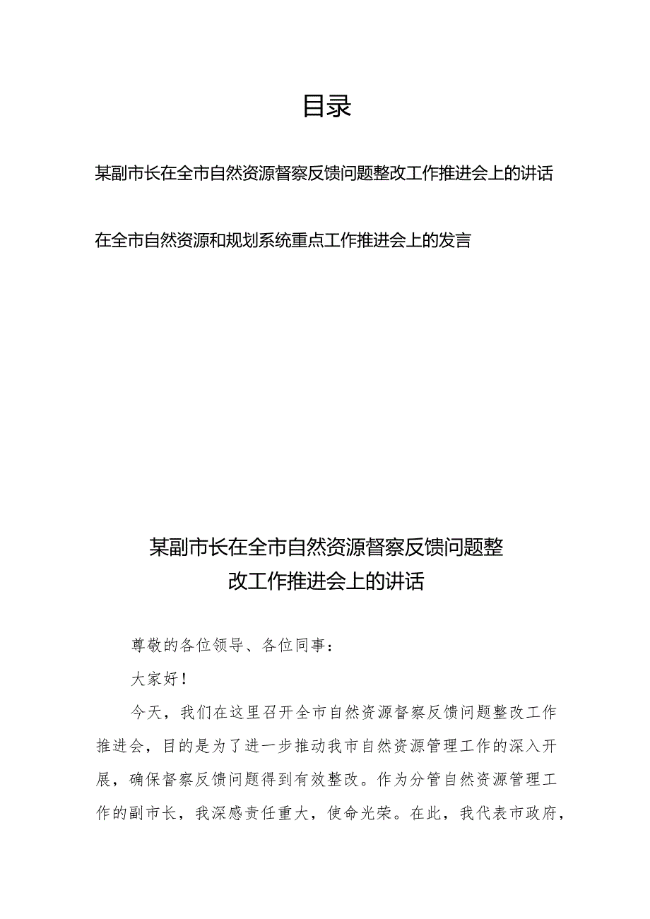 某副市长在全市自然资源督察反馈问题整改工作推进会上的讲话和在全市自然资源和规划系统重点工作推进会上的发言.docx_第1页