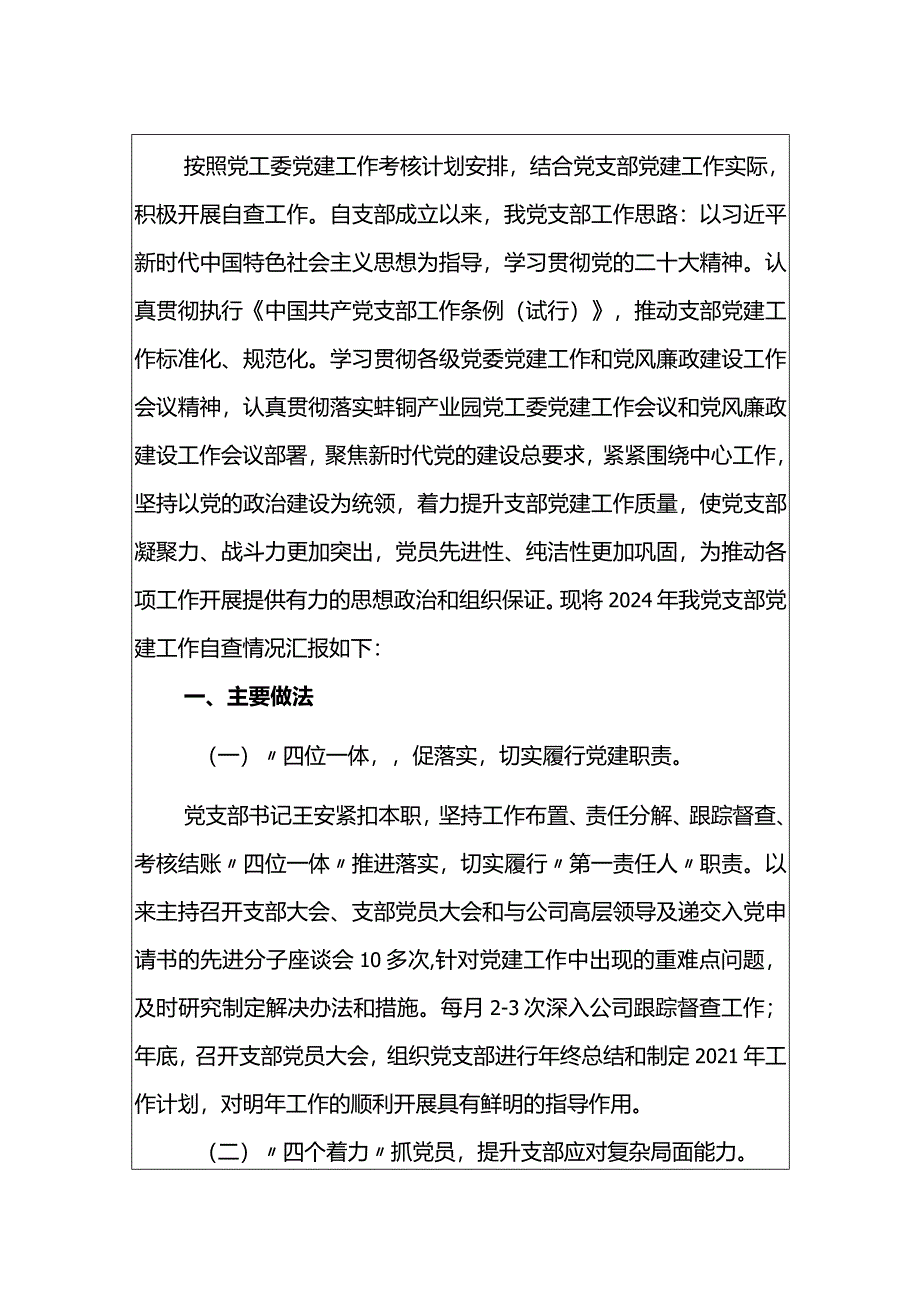 2024党支部党建工作自查总结报告（最新版）.docx_第2页