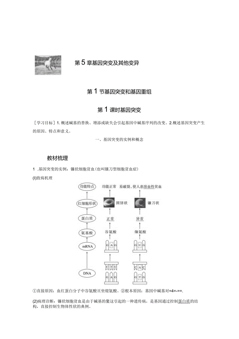 2023-2024学年人教版必修二基因突变学案.docx_第1页