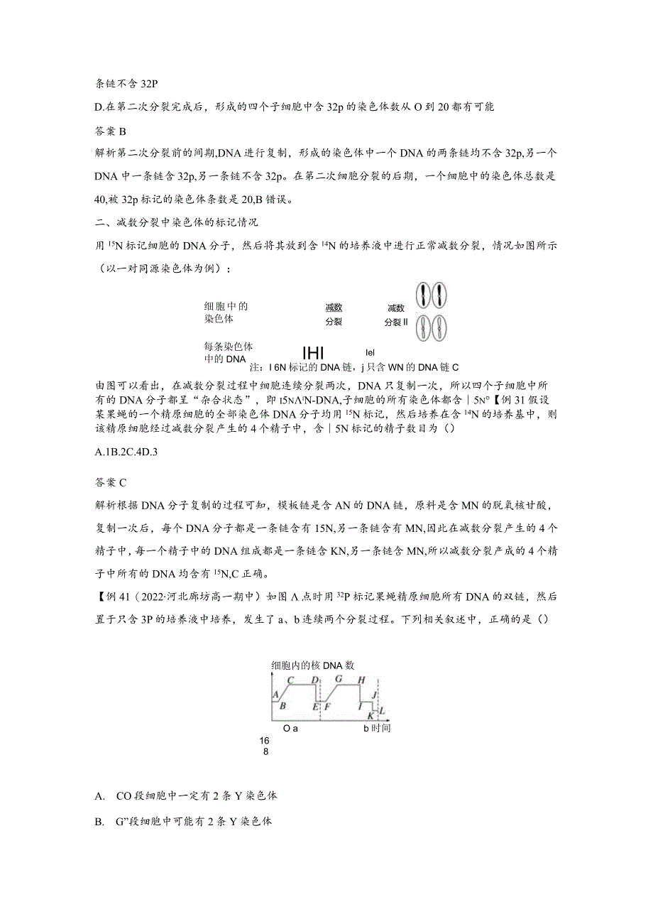 2023-2024学年人教版必修二微专题四DNA复制与细胞分裂中的染色体标记问题学案.docx_第2页
