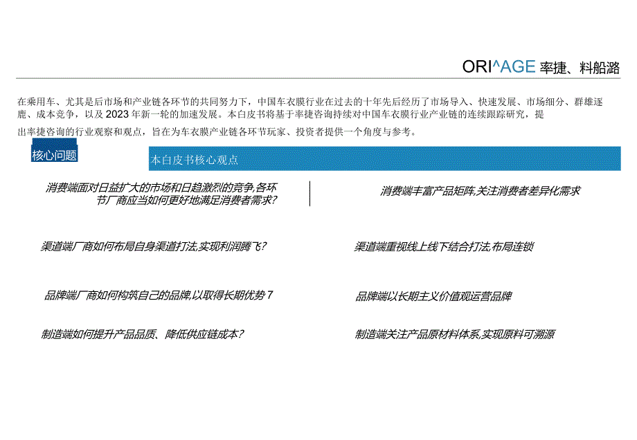 2024中国车衣膜产业发展趋势白皮书.docx_第2页