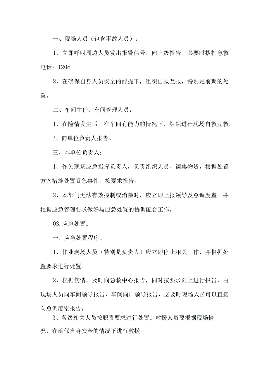 矿山冒顶片帮事故现场处置方案.docx_第2页