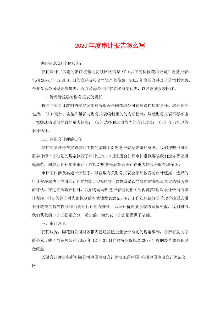 2024年度审计报告怎么写.docx_第1页