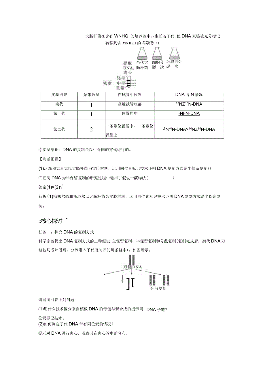 2023-2024学年人教版必修二DNA的复制学案.docx_第2页