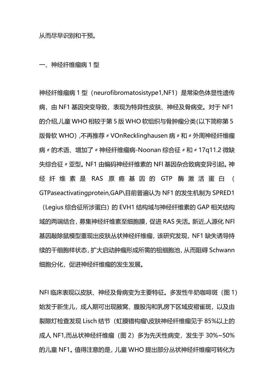 2024第5版WHO儿童肿瘤分类遗传性肿瘤综合征要点解读.docx_第2页