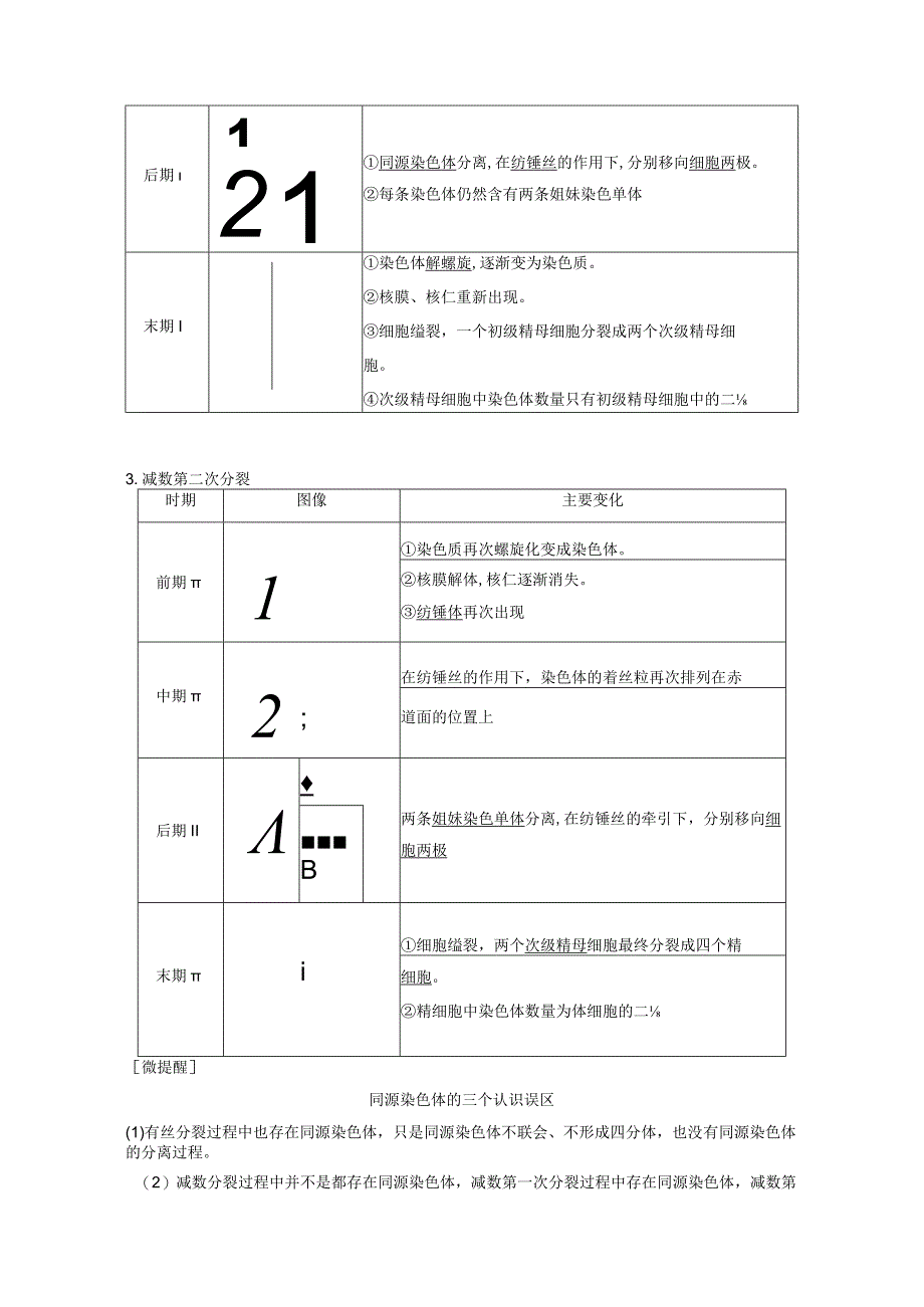 2023-2024学年苏教版必修二减数分裂产生精子或卵细胞学案.docx_第2页