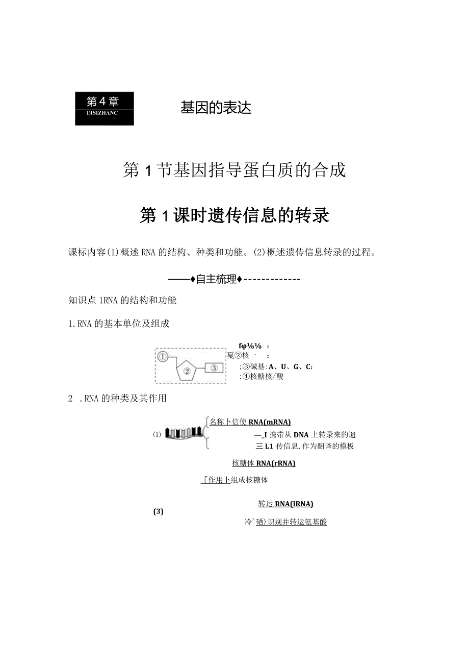 2023-2024学年人教版必修二遗传信息的转录学案.docx_第1页