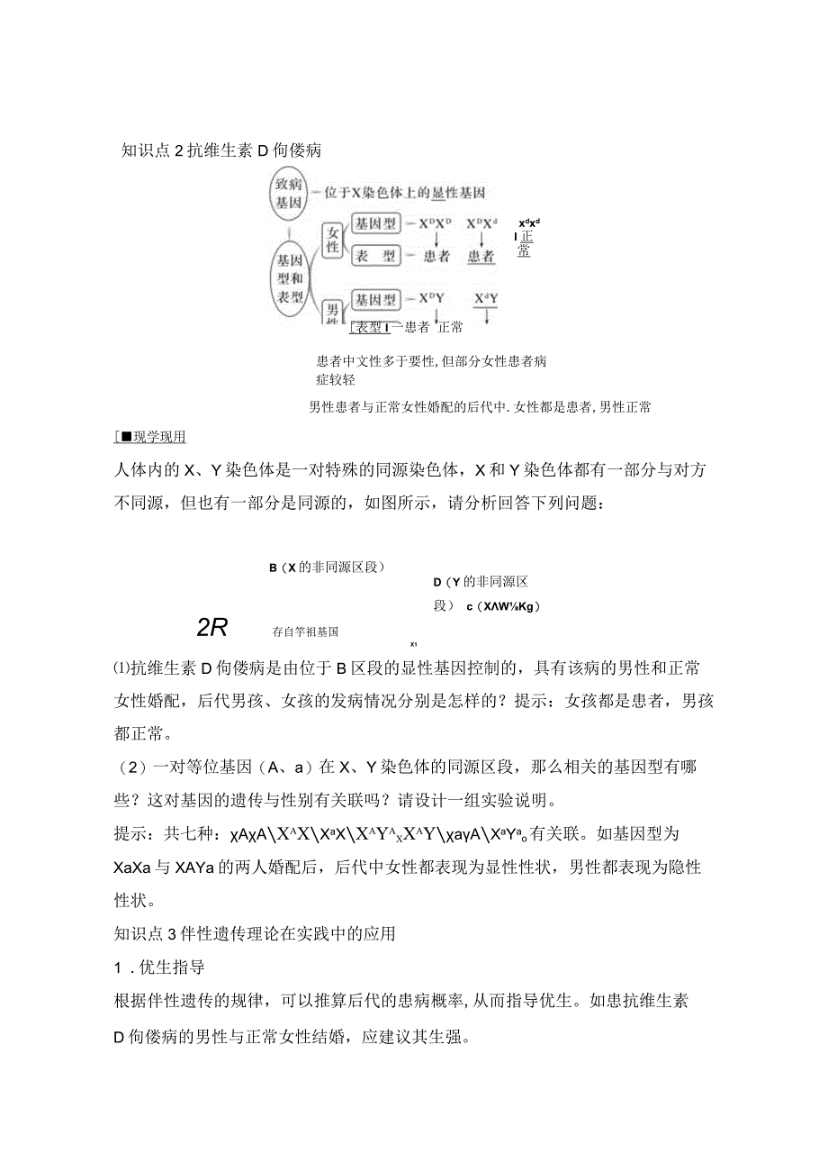 2023-2024学年人教版必修二伴性遗传学案.docx_第3页