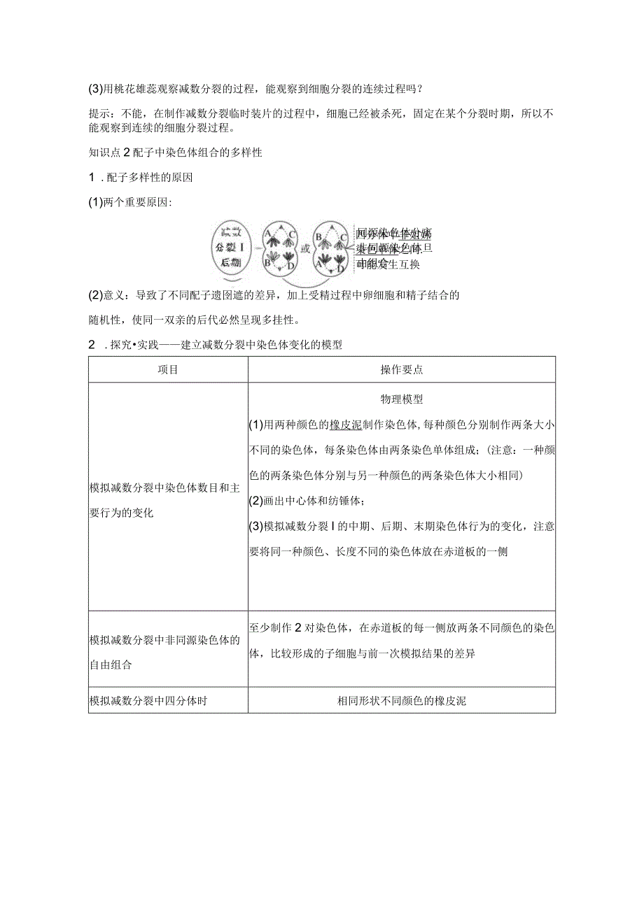 2023-2024学年人教版必修二观察蝗虫精母细胞减数分裂装片、配子中染色体组合的多样性以及受精作用学案.docx_第2页