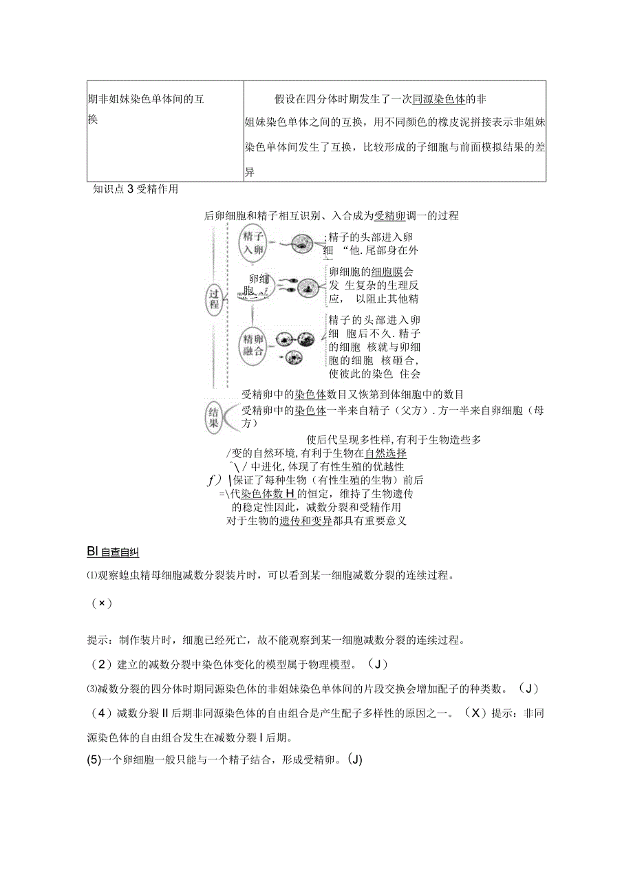 2023-2024学年人教版必修二观察蝗虫精母细胞减数分裂装片、配子中染色体组合的多样性以及受精作用学案.docx_第3页