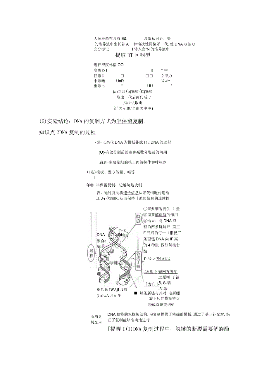 2023-2024学年人教版必修二DNA的复制学案.docx_第2页