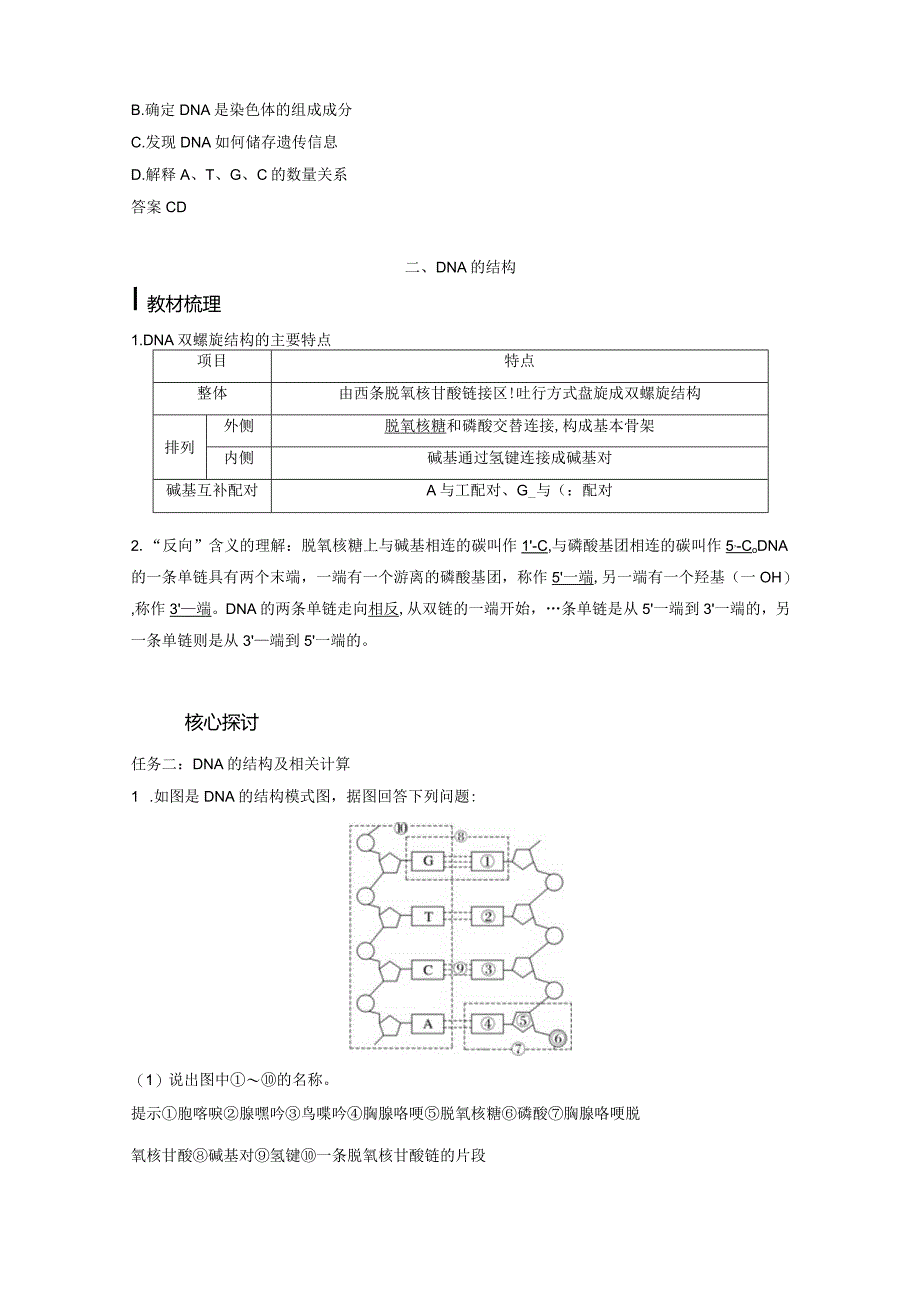 2023-2024学年人教版必修二DNA的结构学案.docx_第3页