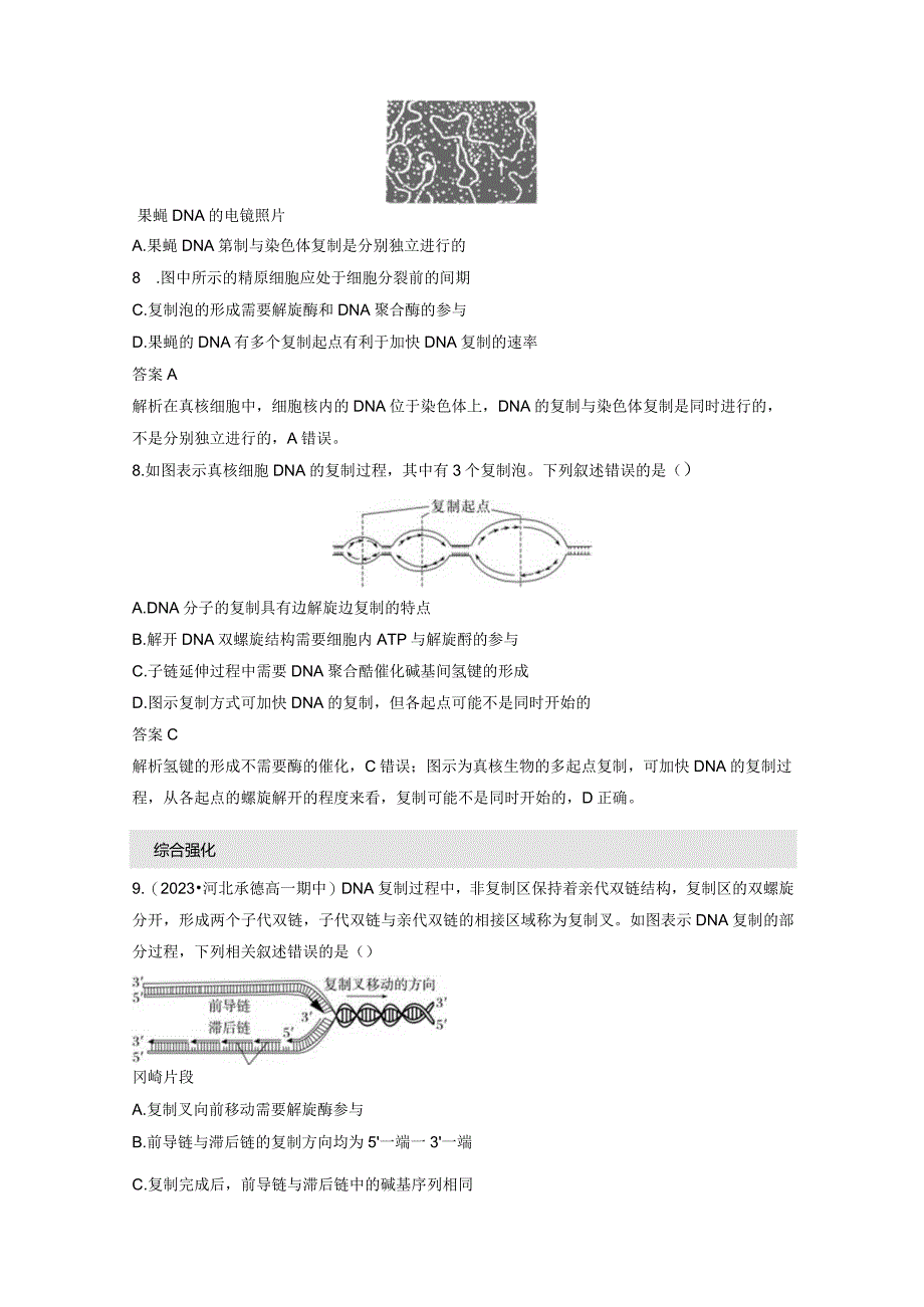 2023-2024学年人教版必修二DNA的复制作业.docx_第3页