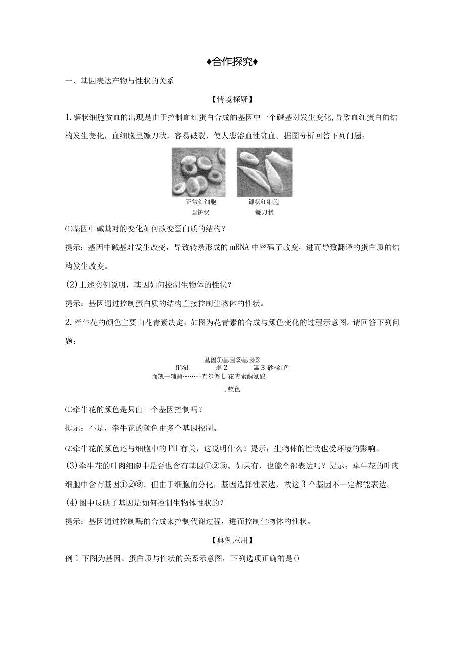 2023-2024学年人教版必修二基因表达与性状的关系学案.docx_第3页