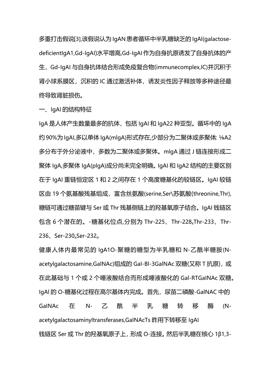 IgA肾病发病机制的研究进展2024.docx_第2页