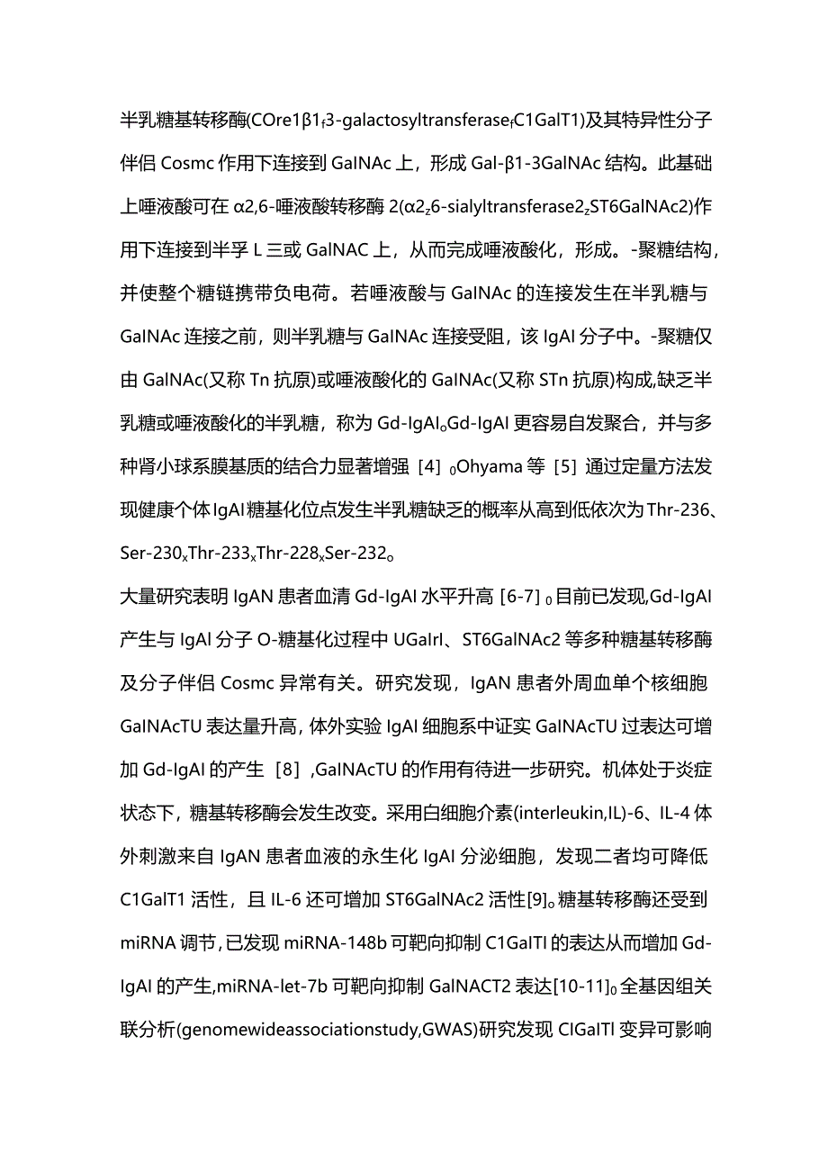 IgA肾病发病机制的研究进展2024.docx_第3页