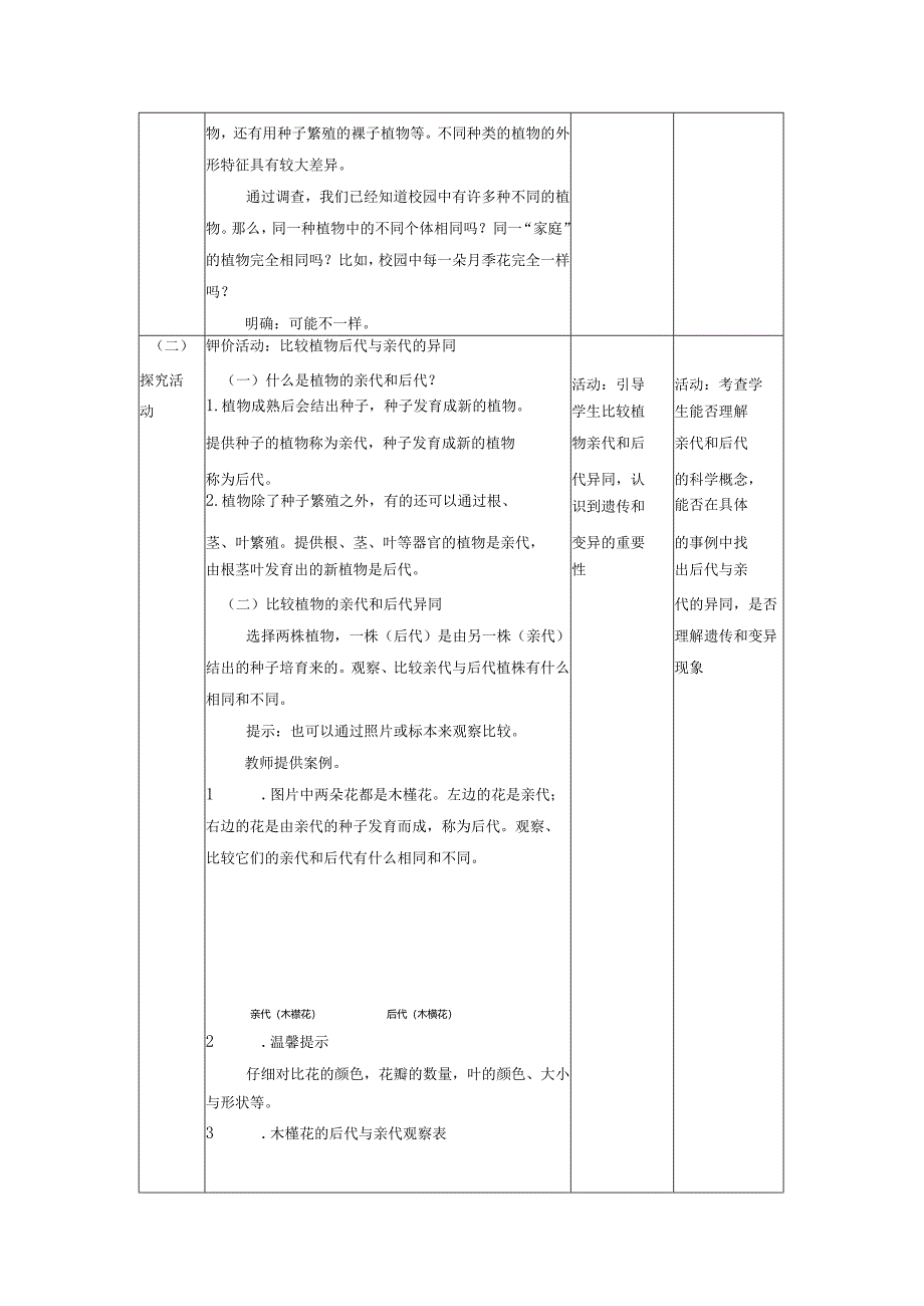 【大单元整体教学】2-3《形形色色的植物》课时教案.docx_第3页