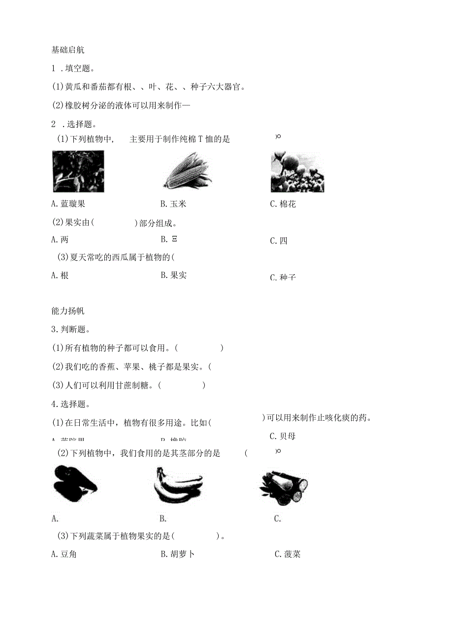 三年级科学下册（苏教版）1-4植物结果了同步练习（含答案）.docx_第3页