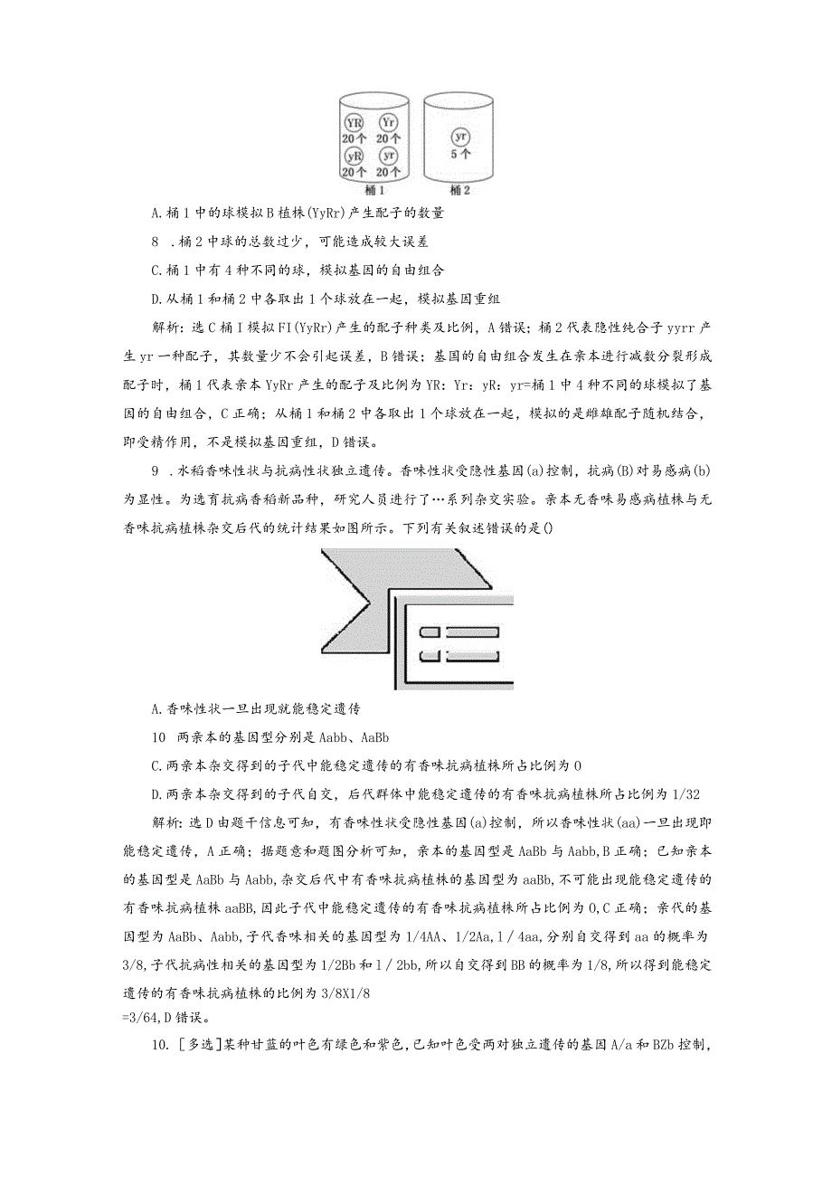 2023-2024学年苏教版必修二自由组合定律作业.docx_第3页