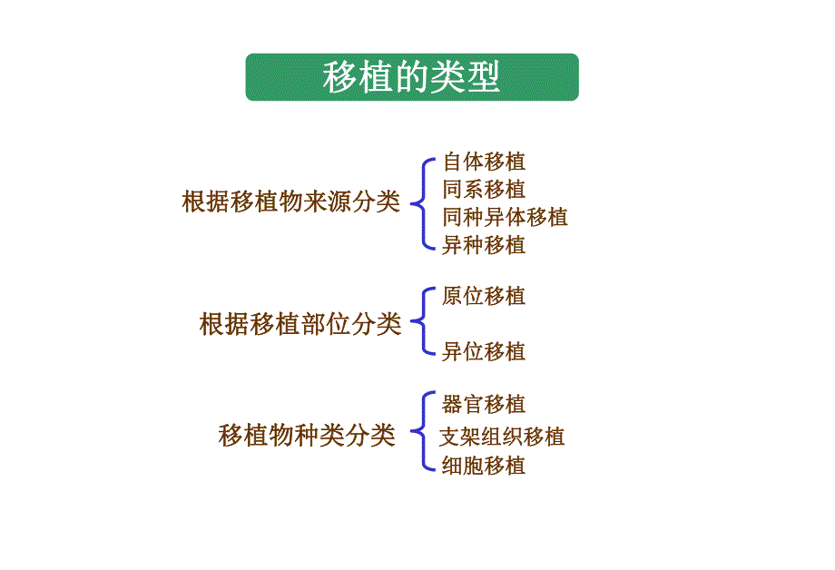 26第26章移植免疫及其免疫检测.ppt_第3页