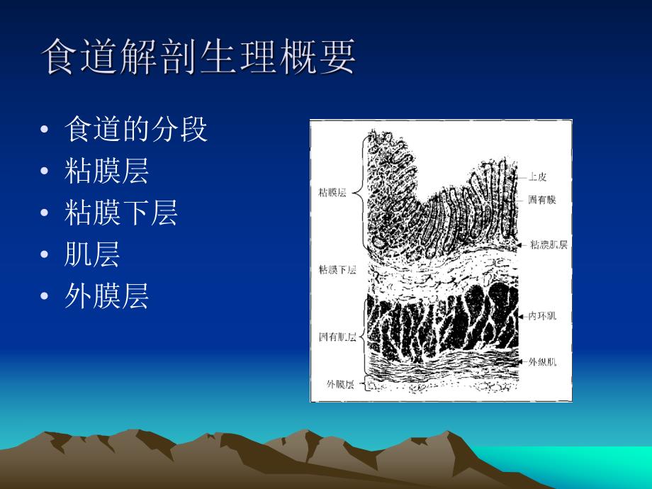 食管癌护理2.ppt_第2页