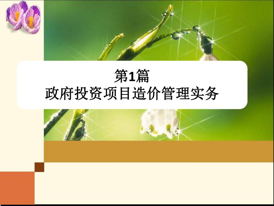 造价师培训课件.ppt_第2页