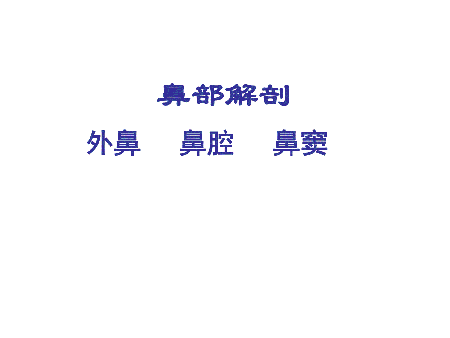 鼻部解剖.ppt.ppt_第2页