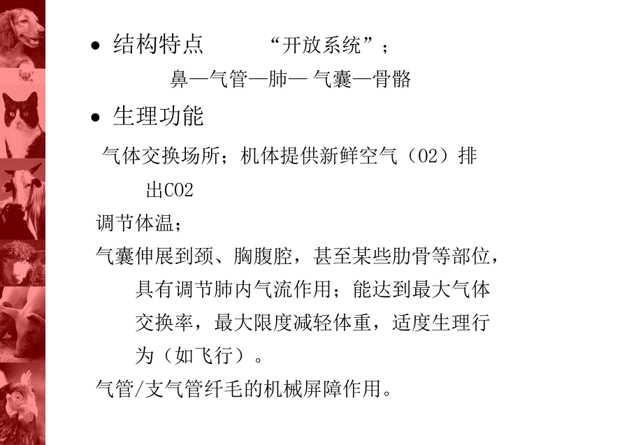 鸡呼吸道疫病的诊断和防治.ppt_第3页