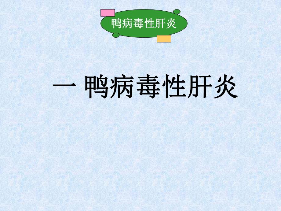 鸭病诊断与防制().ppt_第3页