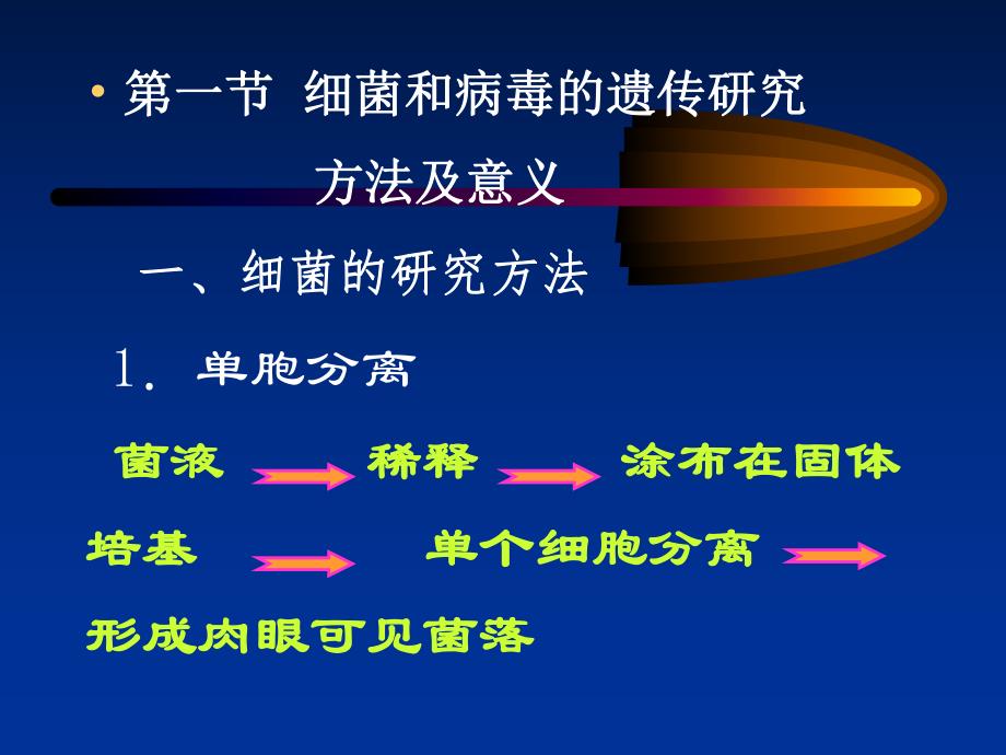 《遗传学》07.细菌和病毒的遗传(55P).ppt_第3页