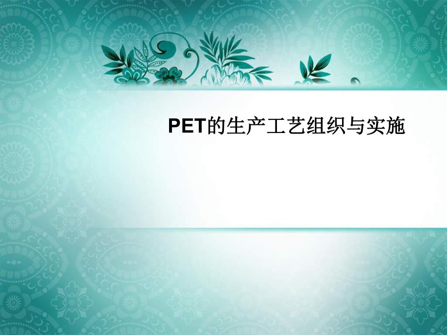 PET的生产工艺组织与实施.ppt_第1页