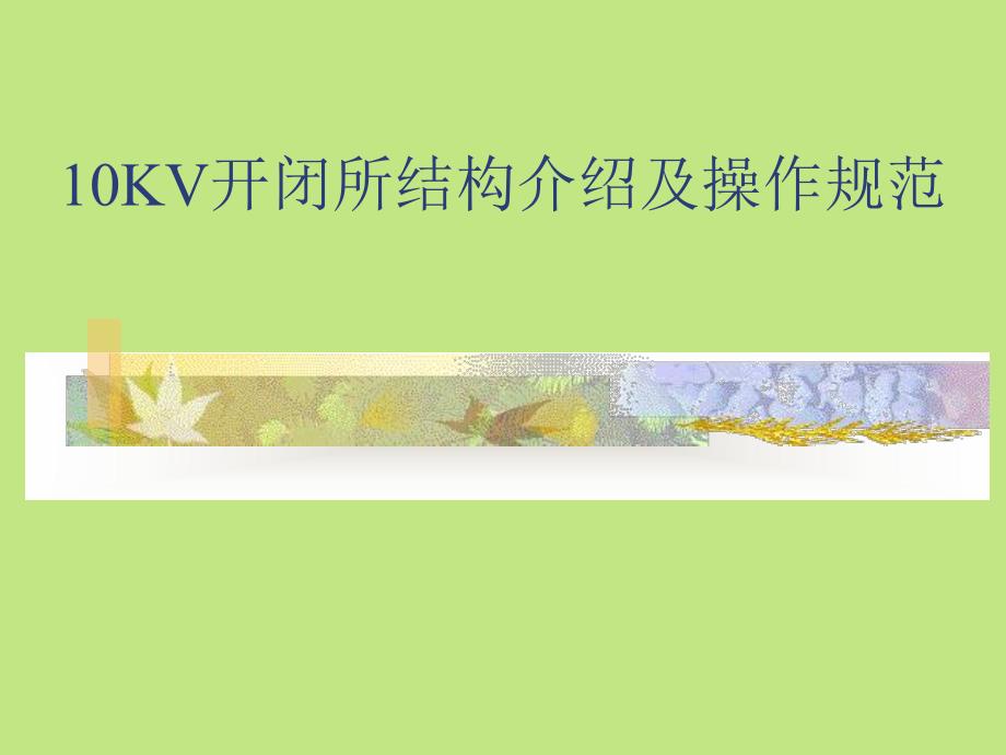 10KV开闭所结构及操作规范.ppt_第1页