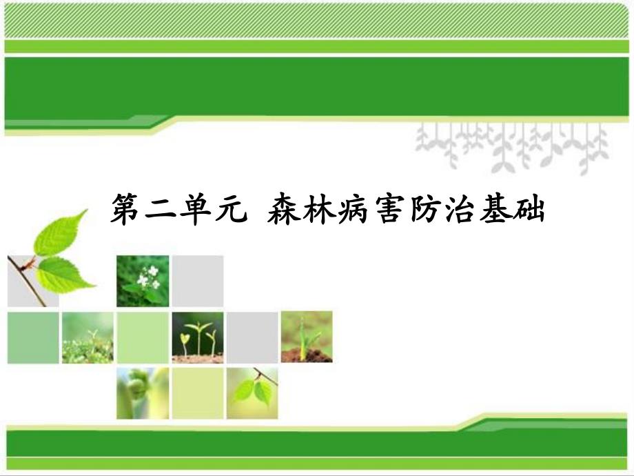 园林植物病虫害.ppt_第1页